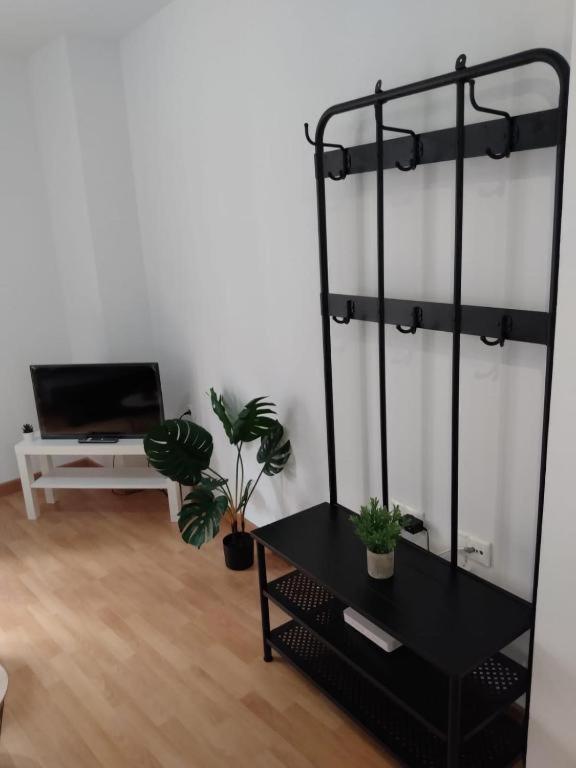 Cdz - San Telmo, Apartamentos Con Terraza Cádiz Eksteriør bilde