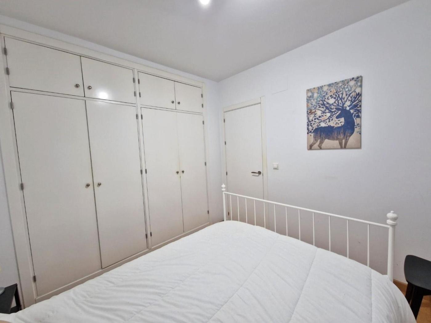 Cdz - San Telmo, Apartamentos Con Terraza Cádiz Eksteriør bilde